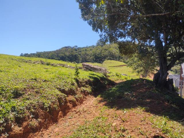 Sítio e chácara venda em Região Imediata de Amparo, Monte Alegre do Sul