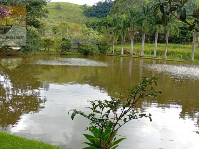 Sítio e chácara venda em Região Imediata de Amparo, Monte Alegre do Sul