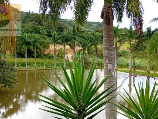 Sítio e chácara venda em Região Imediata de Amparo, Monte Alegre do Sul