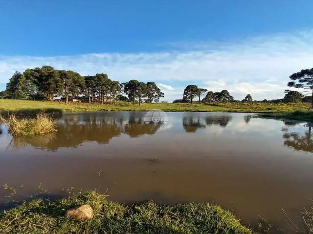 Sítio e chácara venda em Região Geográfica Imediata de Vacaria, Monte Alegre dos Campos