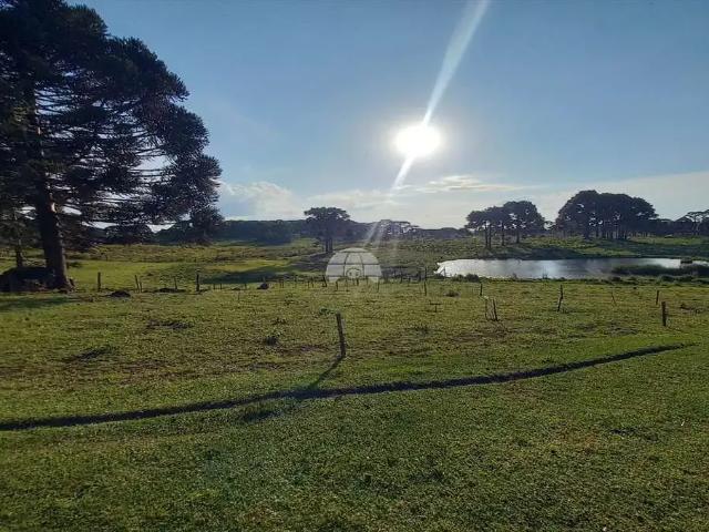 Sítio e chácara venda em Região Geográfica Imediata de Vacaria, Monte Alegre dos Campos