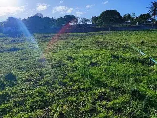 Sítio e chácara venda em Região Geográfica Imediata de Natal, Monte Alegre