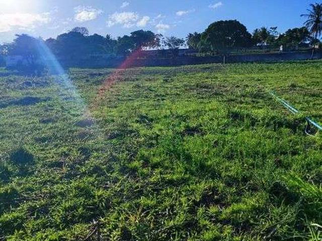 Sítio e chácara venda em Monte Alegre