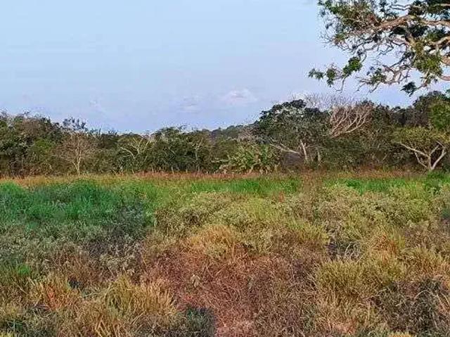Sítio e chácara venda em Região Geográfica Imediata de Natal, Monte Alegre