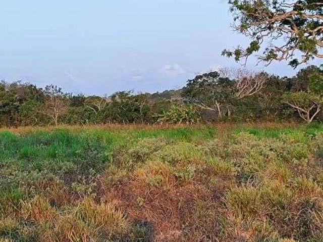 Sítio e chácara venda em Monte Alegre