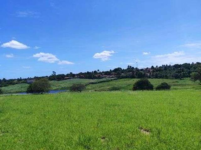 Sítio e chácara venda em Monte Alegre