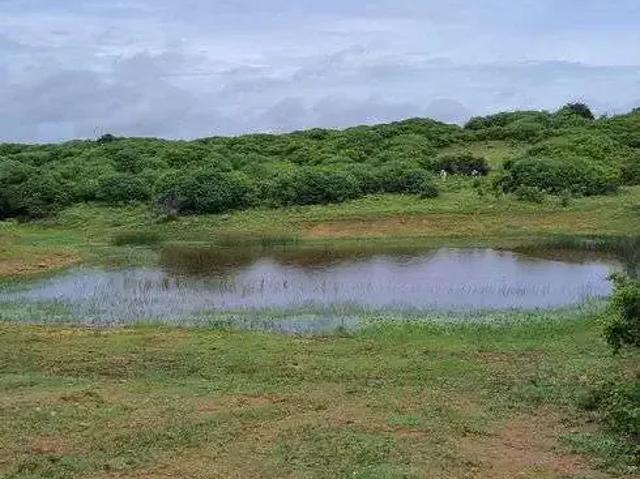 Sítio e chácara venda em Região Geográfica Imediata de Natal, Monte Alegre