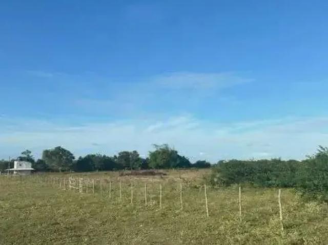 Sítio e chácara venda em Região Geográfica Imediata de Natal, Monte Alegre