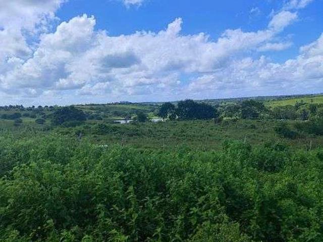 Sítio e chácara venda em Monte Alegre
