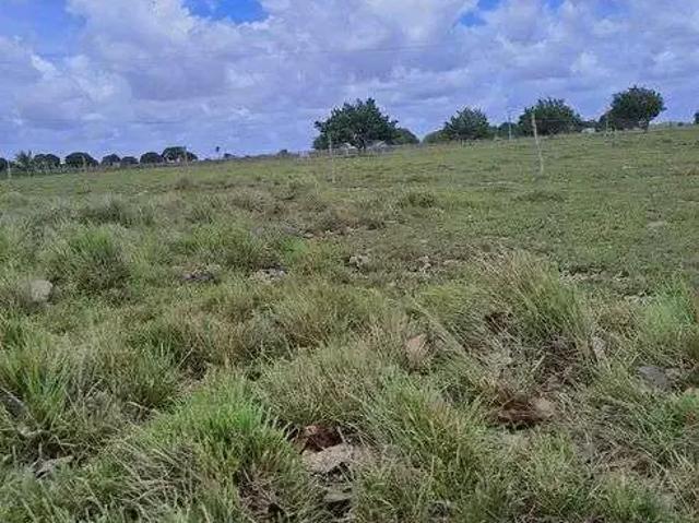Sítio e chácara venda em Região Geográfica Imediata de Natal, Monte Alegre