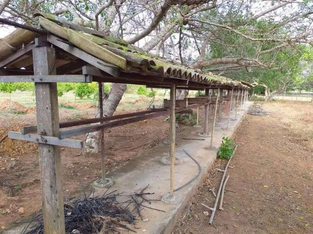 Sítio e chácara venda em Monte Alegre
