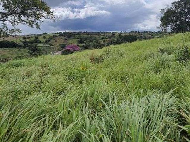 Sítio e chácara venda em Monte Alegre