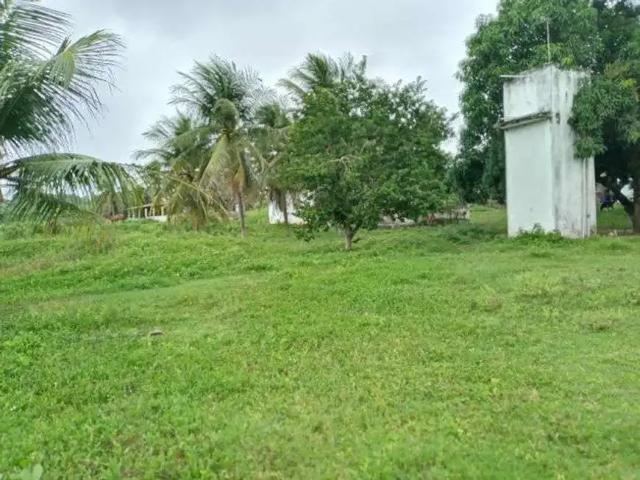 Sítio e chácara venda em Região Geográfica Imediata de Natal, Monte Alegre