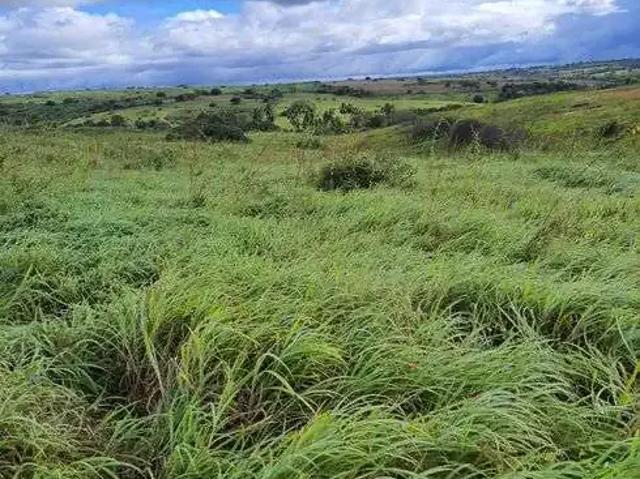 Sítio e chácara venda em Região Geográfica Imediata de Natal, Monte Alegre
