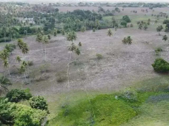 Sítio e chácara venda em Região Geográfica Imediata de Natal, Monte Alegre