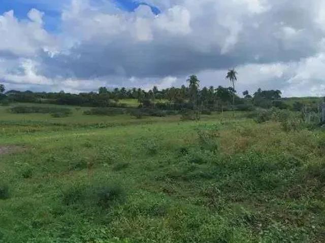 Sítio e chácara venda em Região Geográfica Imediata de Natal, Monte Alegre
