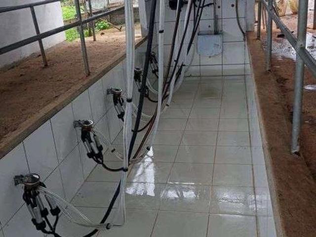 Sítio e chácara venda em Monte Alegre