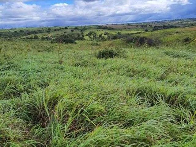 Sítio e chácara venda em Monte Alegre