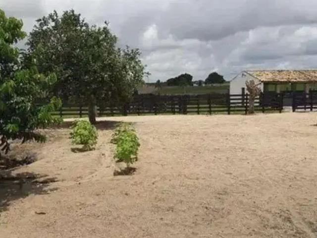 Sítio e chácara venda em Região Geográfica Imediata de Natal, Monte Alegre