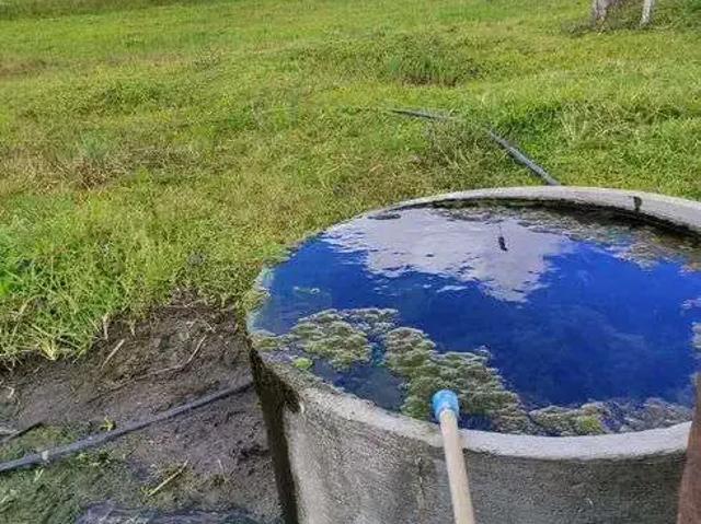 Sítio e chácara venda em Região Geográfica Imediata de Natal, Monte Alegre
