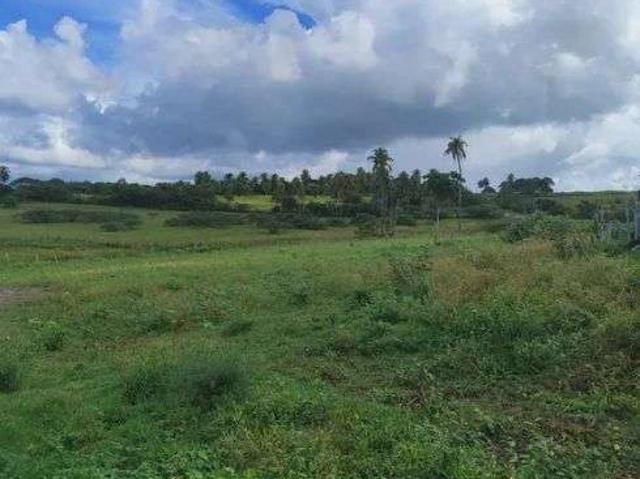 Sítio e chácara venda em Monte Alegre