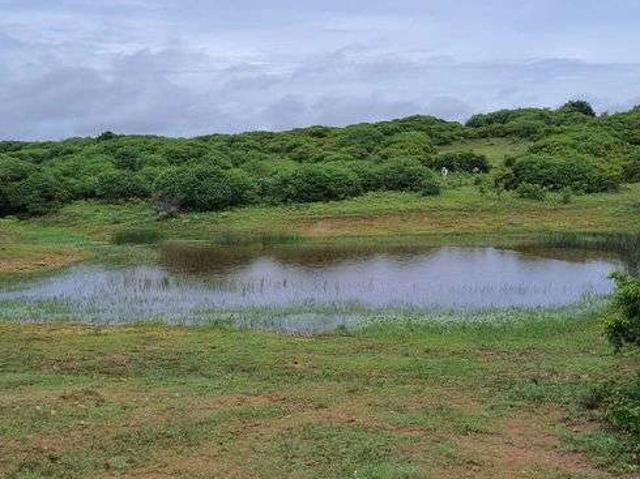 Sítio e chácara venda em Monte Alegre