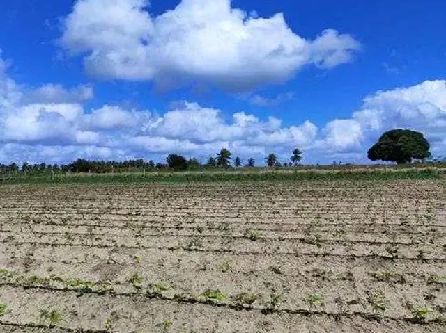 Sítio e chácara venda em Região Geográfica Imediata de Natal, Monte Alegre