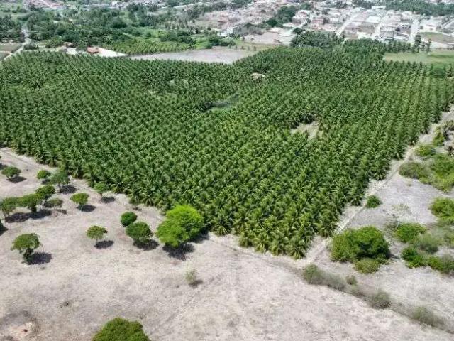 Sítio e chácara venda em Região Geográfica Imediata de Natal, Monte Alegre