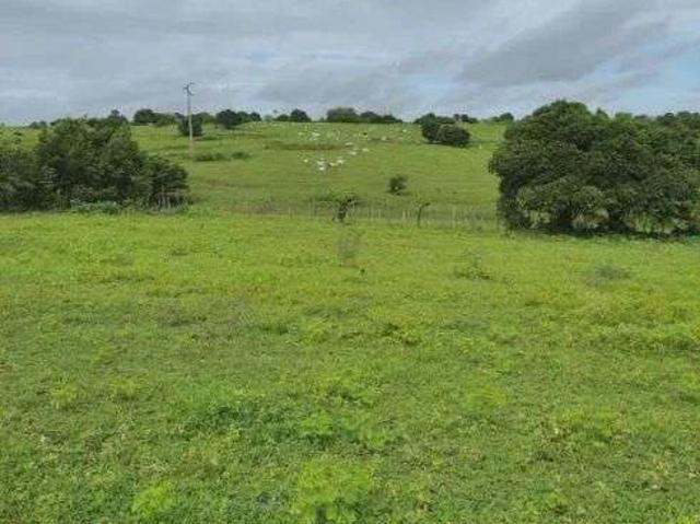 Sítio e chácara venda em Monte Alegre