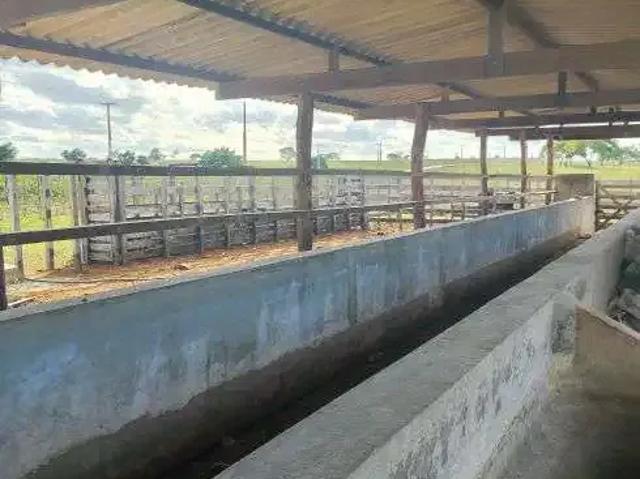 Sítio e chácara venda em Região Geográfica Imediata de Natal, Monte Alegre