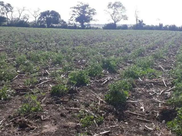 Sítio e chácara venda em Região Geográfica Imediata de Natal, Monte Alegre