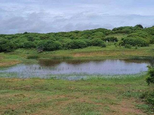Sítio e chácara venda em Monte Alegre