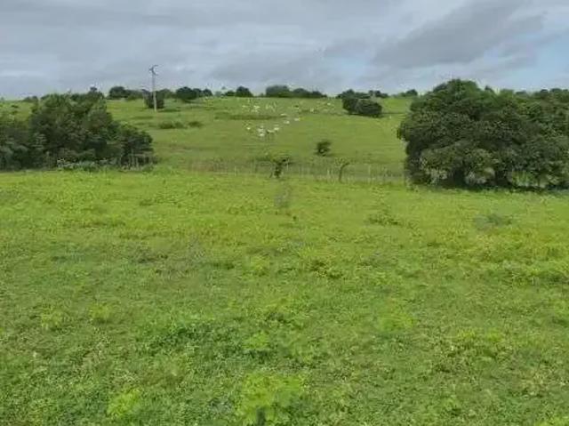Sítio e chácara venda em Região Geográfica Imediata de Natal, Monte Alegre