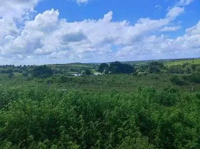 Sítio e chácara venda em Região Geográfica Imediata de Natal, Monte Alegre