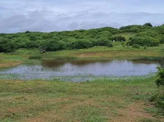 Sítio e chácara venda em Região Geográfica Imediata de Natal, Monte Alegre