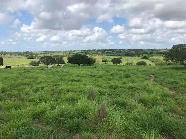 Sítio e chácara venda em Região Geográfica Imediata de Natal, Monte Alegre