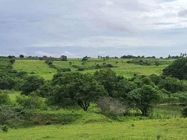 Sítio e chácara venda em Região Geográfica Imediata de Natal, Monte Alegre