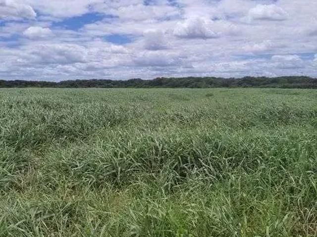 Sítio e chácara venda em Região Geográfica Imediata de Natal, Monte Alegre