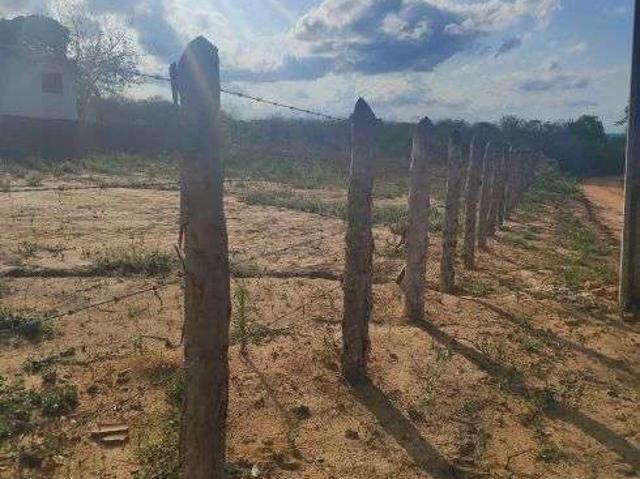 Sítio e chácara venda em Monte Alegre