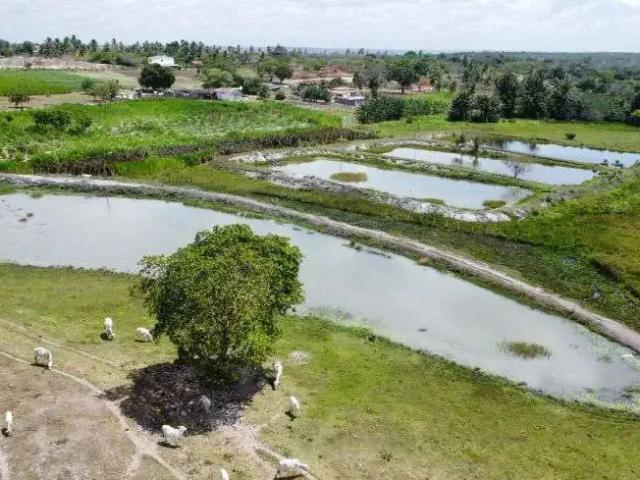Sítio e chácara venda em Região Geográfica Imediata de Natal, Monte Alegre