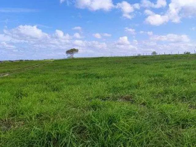 Sítio e chácara venda em Região Geográfica Imediata de Natal, Monte Alegre