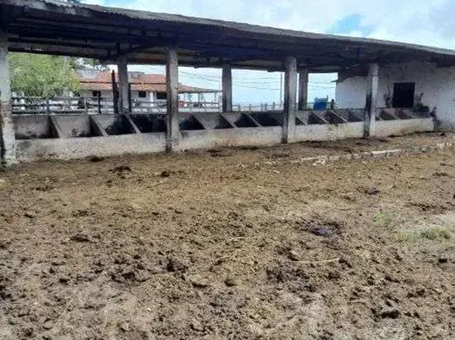 Sítio e chácara venda em Região Geográfica Imediata de Natal, Monte Alegre