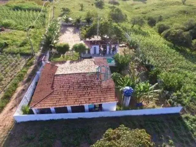 Sítio e chácara venda em Região Geográfica Imediata de Dourados, Dourados