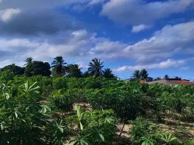 Sítio e chácara venda em Região Geográfica Imediata de Natal, Monte Alegre