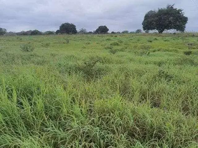 Sítio e chácara venda em Região Geográfica Imediata de Natal, Monte Alegre