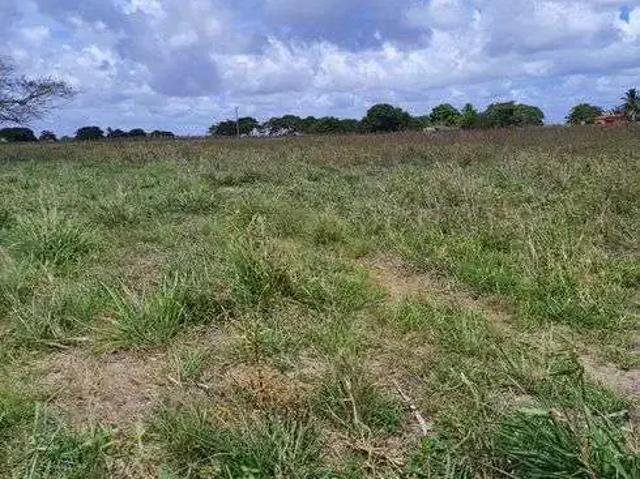Sítio e chácara venda em Região Geográfica Imediata de Natal, Monte Alegre