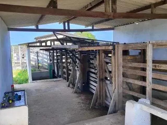 Sítio e chácara venda em Região Geográfica Imediata de Natal, Monte Alegre