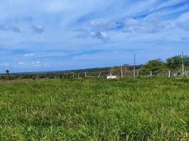 Sítio e chácara venda em Região Geográfica Imediata de Natal, Monte Alegre
