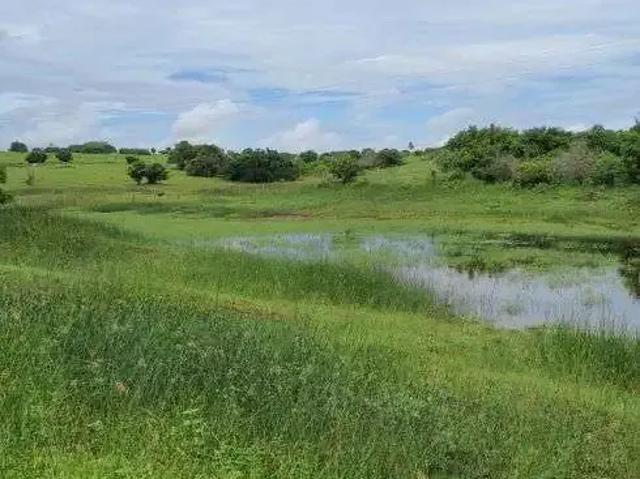Sítio e chácara venda em Região Geográfica Imediata de Natal, Monte Alegre