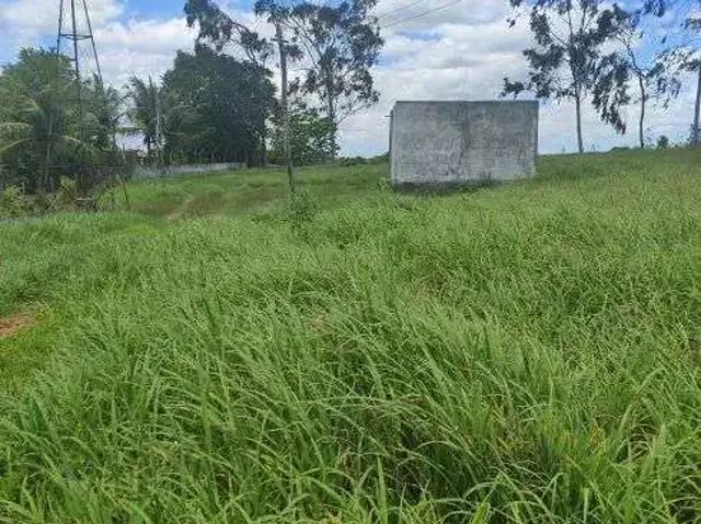 Sítio e chácara venda em Região Geográfica Imediata de Natal, Monte Alegre